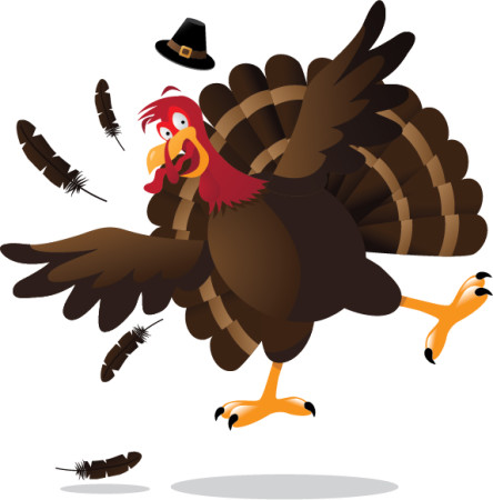 3rd Sunday Funday: Turkeys Fly!