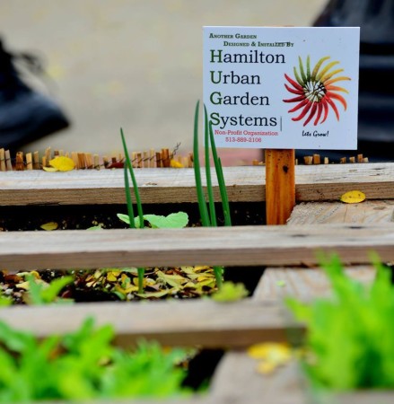 Celebrating Self - Hamilton Urban Garden Systems (HUGS)