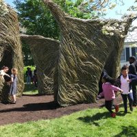 Gallery 2 - TWISTED | Patrick Dougherty Entwined at the Taft