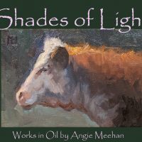 Gallery 2 - Shades of Light by Angie Meehan