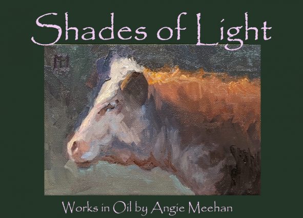 Gallery 2 - Shades of Light by Angie Meehan