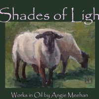 Gallery 3 - Shades of Light by Angie Meehan