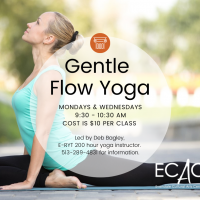 Gentle Flow Yoga