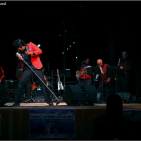 Gallery 3 - Remembering James- The Life and Music of James Brown
