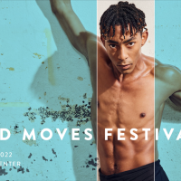 Bold Moves Festival