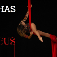 Alphas: Women in Comedy - Alphas at the Circus