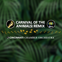 Carnival of the Animals: Remix