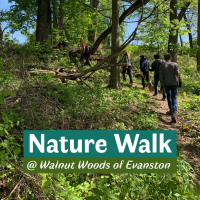 Spring Nature Walk at Walnut Woods of Evanston