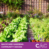 Backyard Garden Series: Community Design