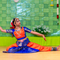 Bollywood Beat - Free Dance Show at College Hill Branch Library