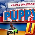 Puppy Pals LIVE - as seen on America's Got Talent!